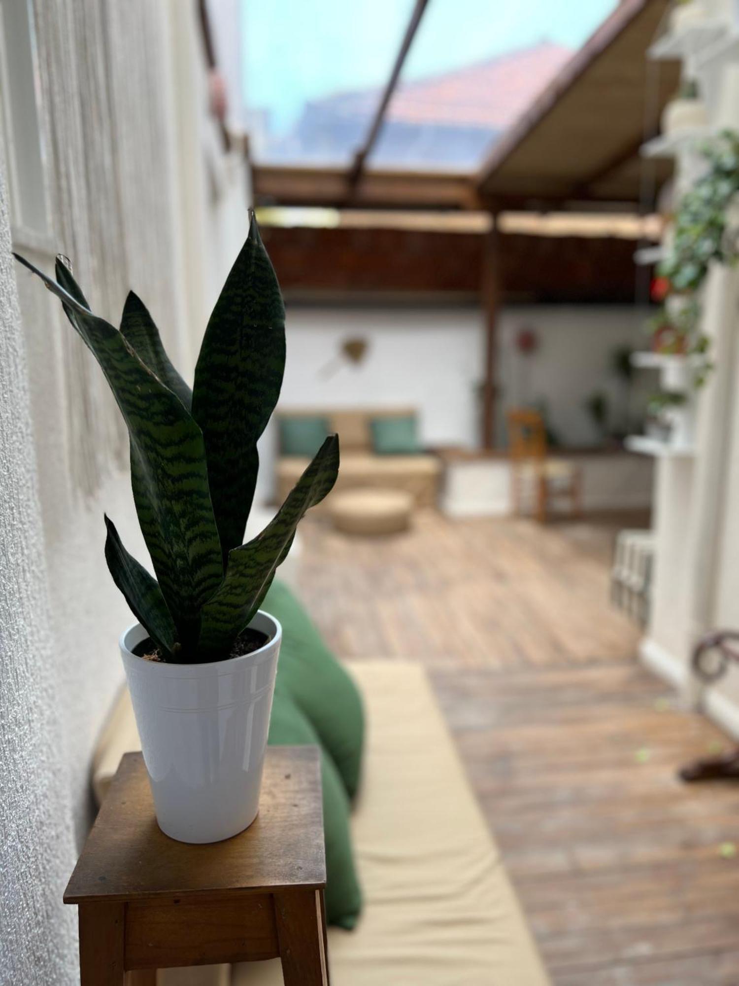 Trip'N'Hostel Chill Zone 地拉那 外观 照片